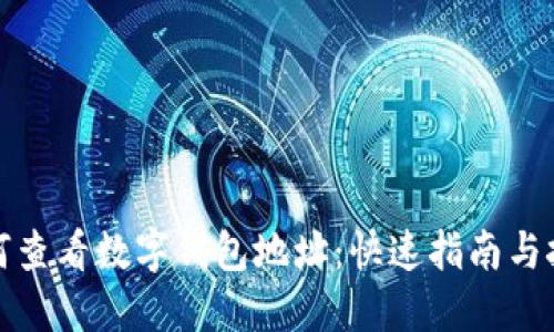 如何查看数字钱包地址：快速指南与技巧
