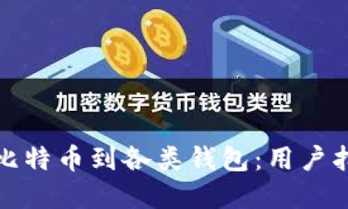 如何轻松导入比特币到各类钱包：用户指南与实用技巧