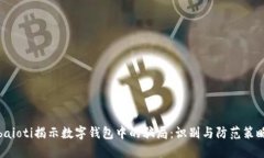 baioti揭示数字钱包中的骗