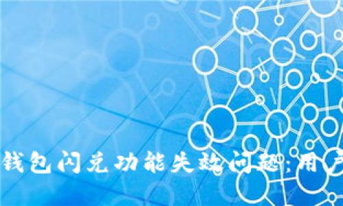 如何解决TP钱包闪兑功能失效问题：用户指南与技巧