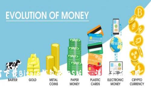 如何下载Bitpie钱包的iOS版本：详尽指南与用户建议