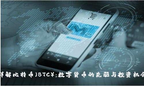 详解比特币（BTC）：数字货币的先驱与投资机会