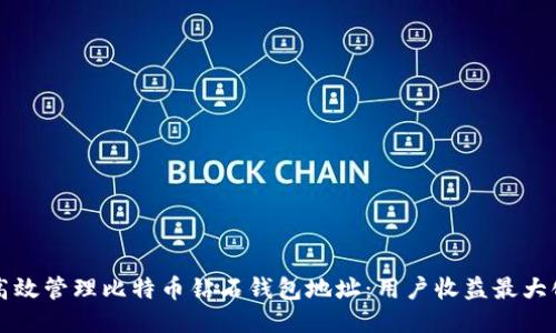 如何高效管理比特币钻石钱包地址：用户收益最大化指南