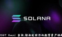 USDT Omni 查询：轻松追踪你