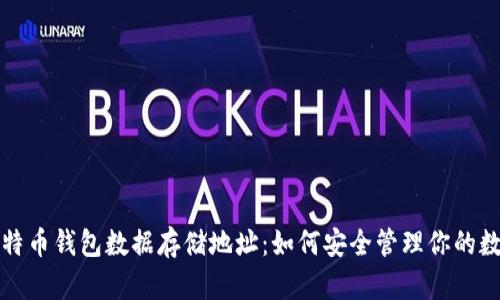 揭秘比特币钱包数据存储地址：如何安全管理你的数字资产
