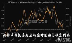 比特币钱包丢失后的应对