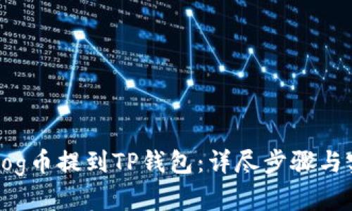 如何将Dog币提到TP钱包：详尽步骤与实用建议