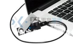 2023年排名前十的加密货币