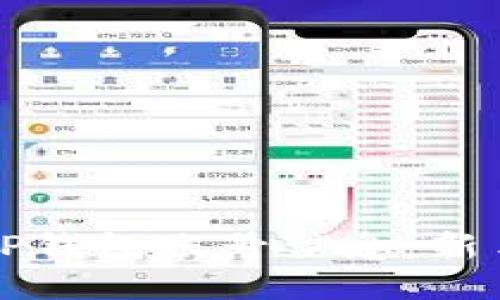 如何查看TP钱包账号信息：新手必看指南