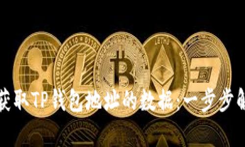 如何用代码获取TP钱包地址的数据：一步步解析实现方法