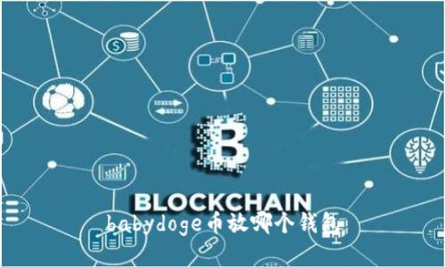 babydoge币放哪个钱包