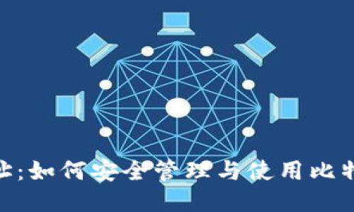 BCD钱包地址：如何安全管理与使用比特币钻石钱包