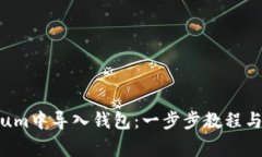 如何在Electrum中导入钱包：