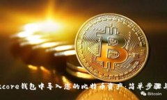 如何在Bitcore钱包中导入您