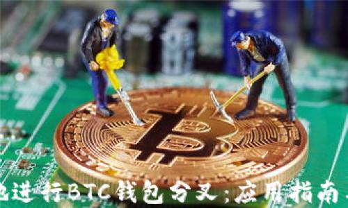 
如何安全地进行BTC钱包分叉：应用指南与最佳实践