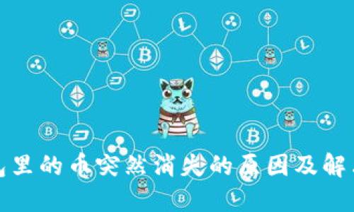 TP钱包里的币突然消失的原因及解决方案