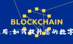 探索BTXS钱包的作用：如何