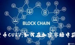  探索数字货币CURV：如何在