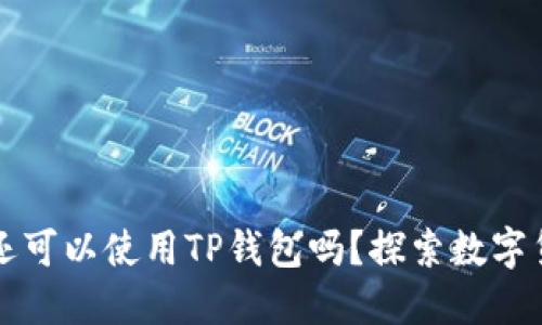 大陆用户还可以使用TP钱包吗？探索数字货币的未来
