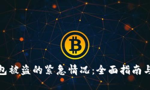 如何应对TP钱包被盗的紧急情况：全面指南与安全防护措施