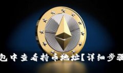 如何在TP钱包中查看持币地