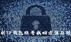 全面解析TP钱包账号找回方