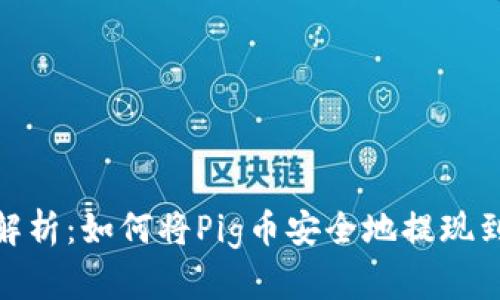 : 全面解析：如何将Pig币安全地提现到TP钱包