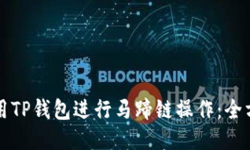 如何使用TP钱包进行马蹄链操作：全方位指南