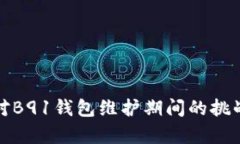 如何有效应对B91钱包维护