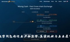 数字钱包将迎来严格监管