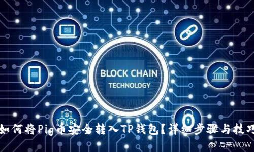 如何将Pig币安全转入TP钱包？详细步骤与技巧