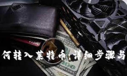 tp钱包如何转入莱特币：详细步骤与注意事项