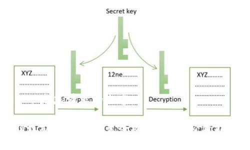 以下是您请求的内容：

蚂蚁矿机钱包设置全攻略：新手必看指南
